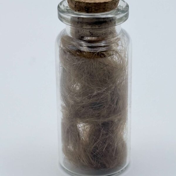 Hair Clipping in Glass Vial