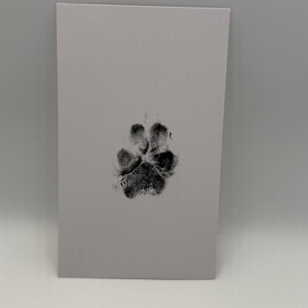 Ink Paw Print