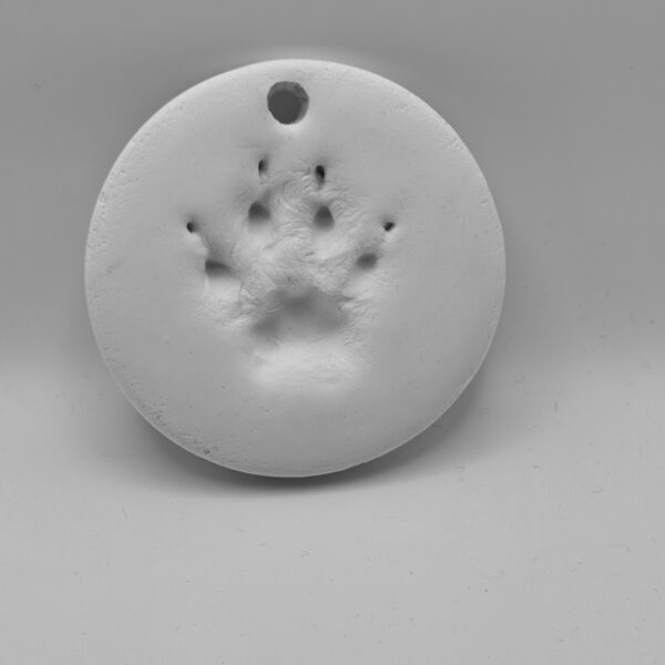 Soft Clay Paw Print