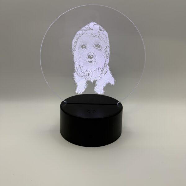 LED (Custom Photo)