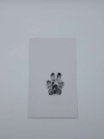 Alternative view of Ink Paw Print