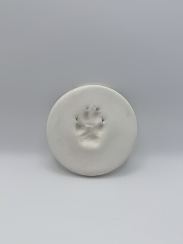 Soft Clay Paw Print